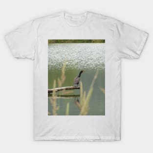 Double Crested Cormorant #2 T-Shirt